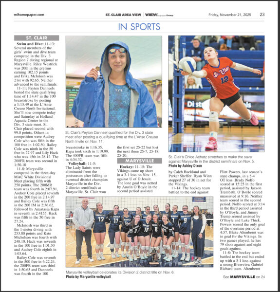 Chloe Achatz from St Clair Volleyball at District Semi Final game